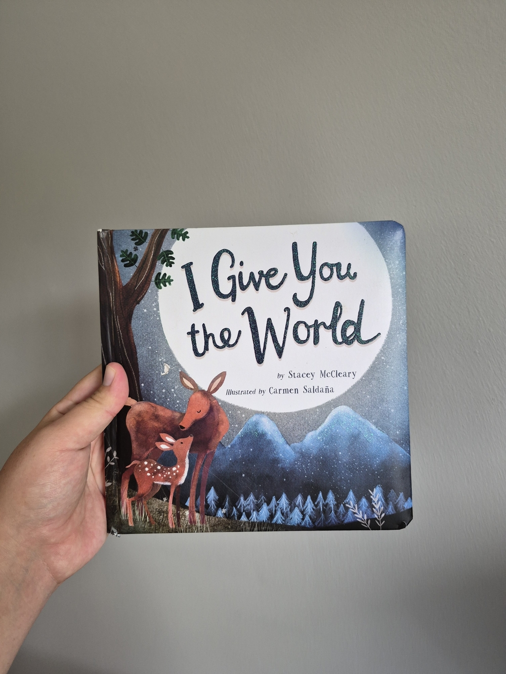 I Give You the World Childrens Board Book